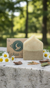 شامپو بار سدر و بابونه مو مهتاب | ضد ریزش و تقویتکننده ۱۰۰٪ گیاهی